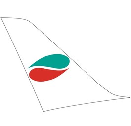 European Air Charter fliegt mit A320 statt MD-82 ab Linz