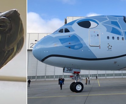 Die Schildkröte von der Piste und der A380: Das riesige Flugzeug ...