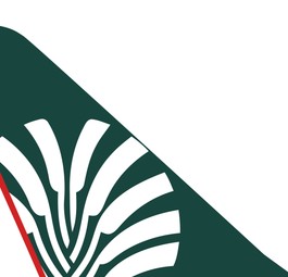 ticker madagascar airlines