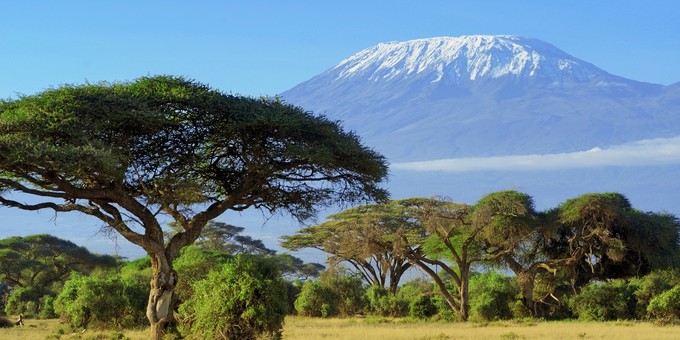 Platz 8: Tanzania. Sechs Prozent mehr Flüge als vor der Pandemie.