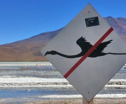 Flamingo-Schild in Südamerika: Auch so eins hätte den Crash in Montpellier kaum verhindert.