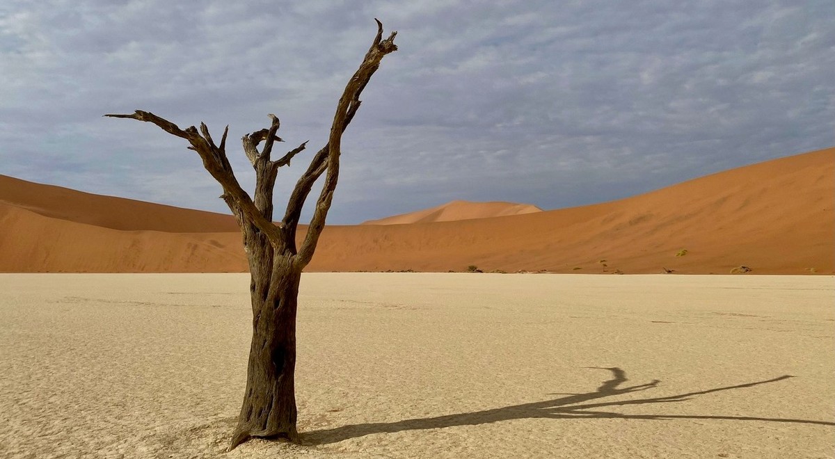 Ikonische Baumgerippe in Deadvlei
