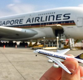 Airbus A380 von Singapore Airlines: Für viele Fluggesellschaften ist das Flugzeug zu groß.