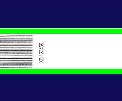 Gepäcketikette: Die grünen Streifen zeigen, dass der Koffer in der EU aufgegeben worden ist.