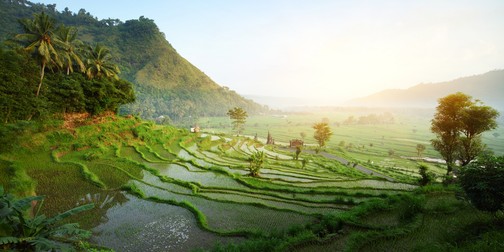 Ab 2024 Einreisegebühr auf Bali
