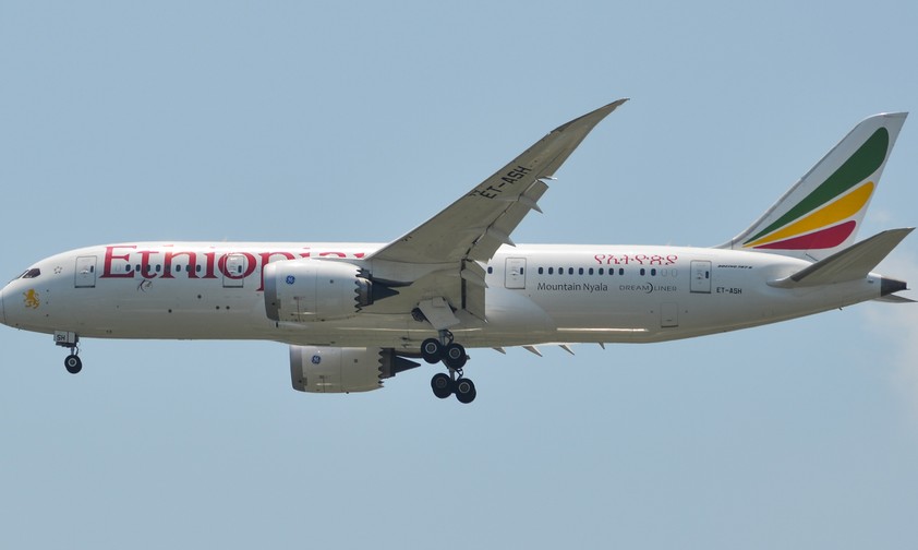 Dreamliner von Ethiopian Airlines: Die Fluggesellschaft setzt die Boeing 787 regelmäßig auf Flügen nach Asmara ein.