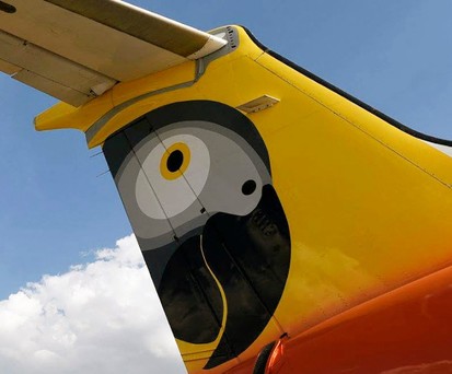 Heck eines Fastjet-Fliegers: Papagei als Logo.