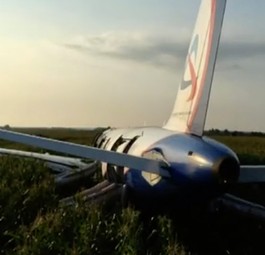 So verhinderten die Maisfeld-Piloten eine Katastrophe