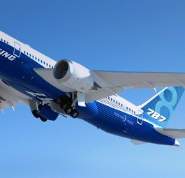 Boeing 787-8: Fluggesellschaften sollen die Wassersysteme prüfen.