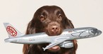 Niki-Werbefoto: IAG kam zum Zug.