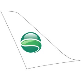 Germania Flug besitzt dritten Airbus A319