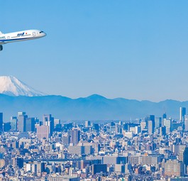 Boeing 787-10 von ANA: Fliegt jetzt zwischen japanischen Metropolen.