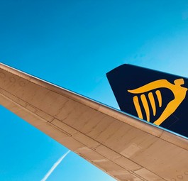 Tailfin of a Ryanair aircraft: They operate a large fleet of solely 737 aircraft