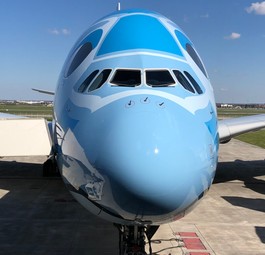 Airbus A380 von All Nippon Airways: Passagiere durften bei Rundflug dabei sein.