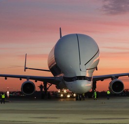 Der Beluga XL in Bremen: Der Frachter ist fast 19 Meter hoch am höchsten Punkt ...