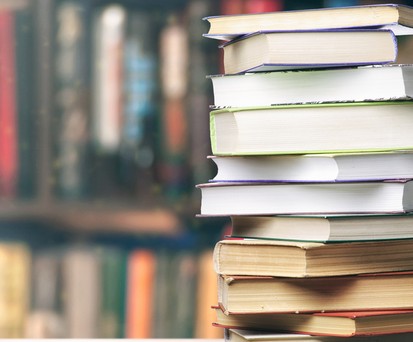 Bücher: Auch für Luftfahrtfans eine gute Freizeitbeschäftigung.