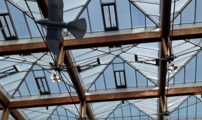 Diese Drohne fliegt wie ein Vogel