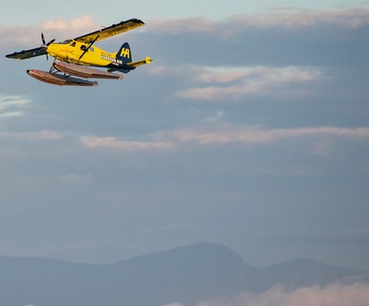 De Havilland DHC-2 Beaver von Harbour Air: Elektrische Flüge.