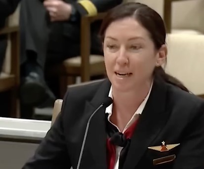 Politiker bezeichnet Pilotin als Stewardess