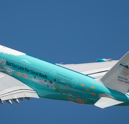 Nicht Käufer, aber kleinster Betreiber war Hi Fly. Die <a href="https://www.aerotelegraph.com/der-club-a380-hat-ein-neues-mitglied">portugiesische Charterairline leaste von Mitte 2018 bis Ende 2020 einen A380</a>, der vorher für Singapore Airlines geflogen war. Der A380 kam zuerst als Passagierjet, dann als Prachter zum Einsatz. Inzwischen wurde er wieder ausgeflottet.