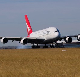 bc739bf0-11d1-4748-a304-92a74b617b68