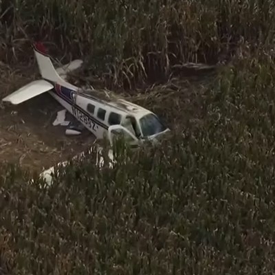Die abgestürzte Beechcraft im Maisfeld: Alle vier Personen haben überlebt.