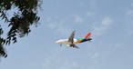 Ehemaliger Airbus A319 von Eritrean Airlines: Die Airline bekommt Verstärkung.