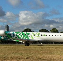 Pluna-Flieger: Bald im Besitz von BQB?