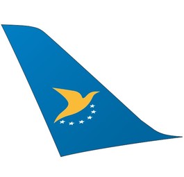 Blackshapes Ultraleichtflugzeug darf wieder starten