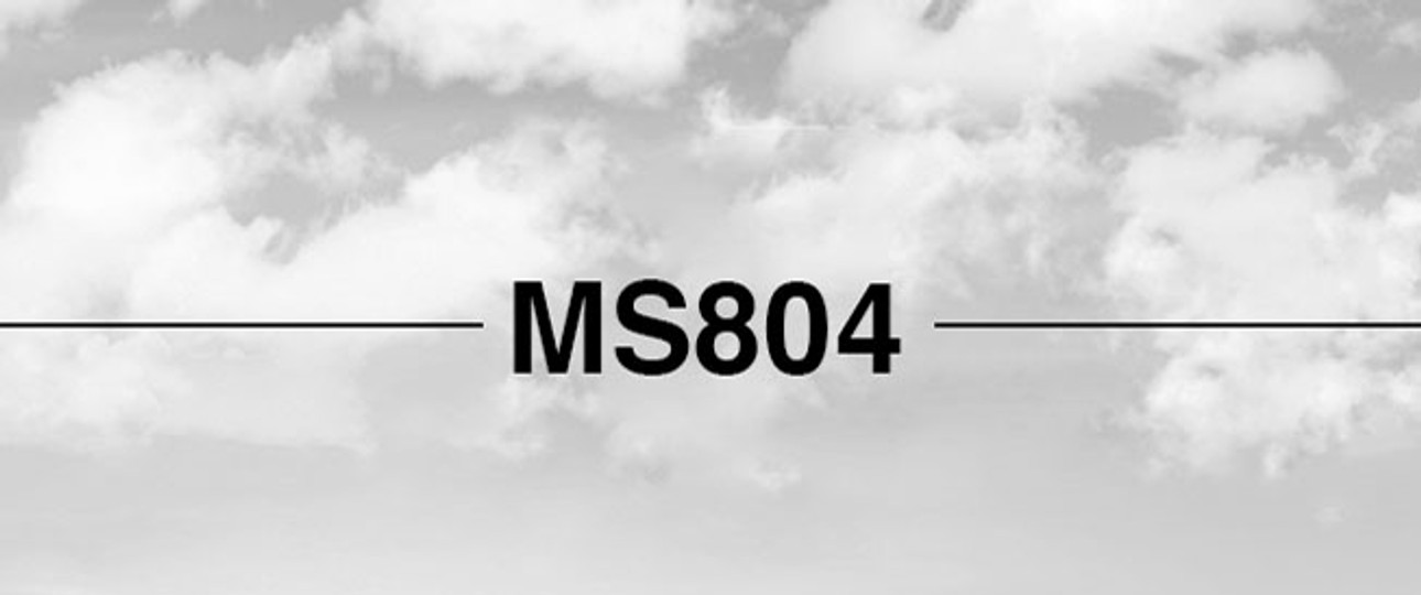 Trauerbild von MS804: Gab es einen Kampf im Cockpit?