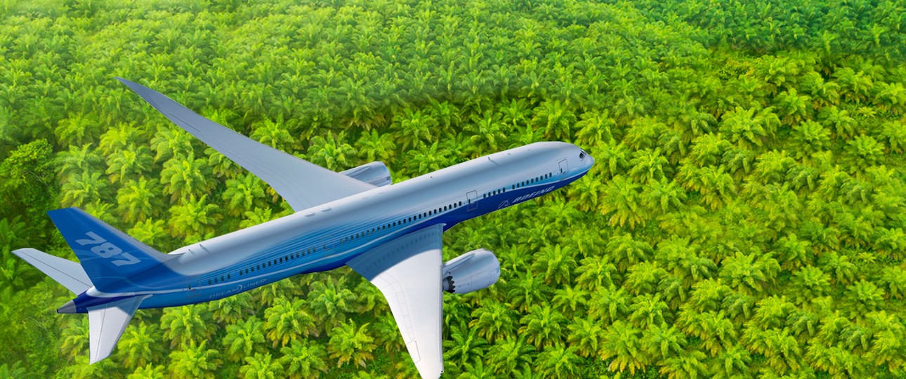 Boeing 787 über Plamölplantage (Montage): Indonesien macht Druck.
