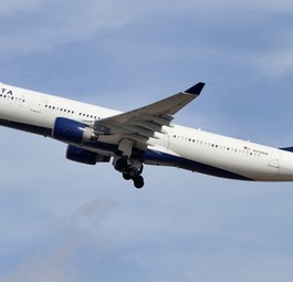 Airbus A330 von Delta: An Bord eines Flugzeuges waren nur Taschen.
