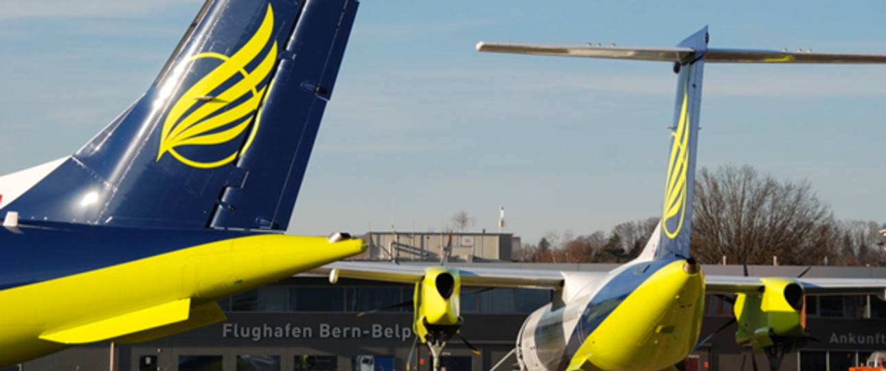 Flieger von Skywork: