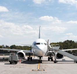 Flugzeug am Boden: Mehr als umgerechnet 260 Millionen Euro an Bord.