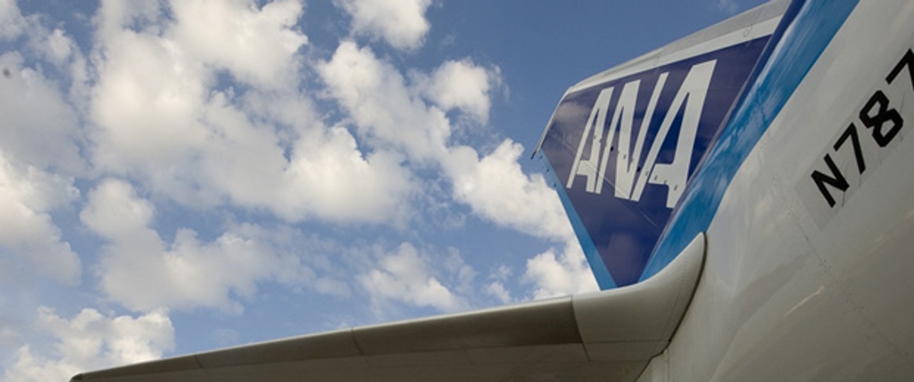 Dreamliner-Flosse von ANA: Kein Problem mit dem Triebwerk.