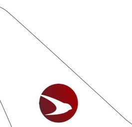 ticker pioneer airlines