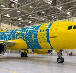 Spirit Airlines Airbus A320: Das Flugzeug wird das Design den ganzen Winter tragen. 