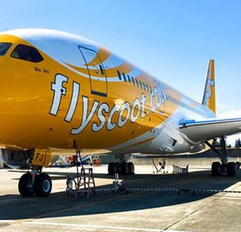 Dreamliner von Scoot: Ab Juni zwischen Berlin und Singapur im Einsatz.