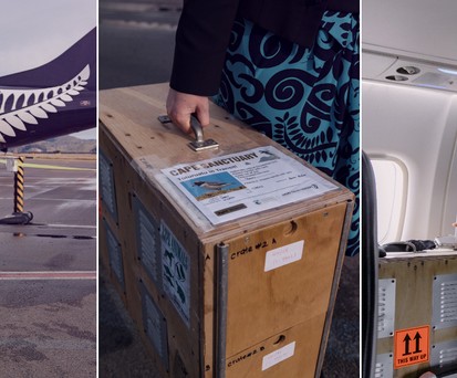 Flugbegleiterin Annalise Michie mit der Transportbox der Tūturuatus: Wichtige Umsiedelung.