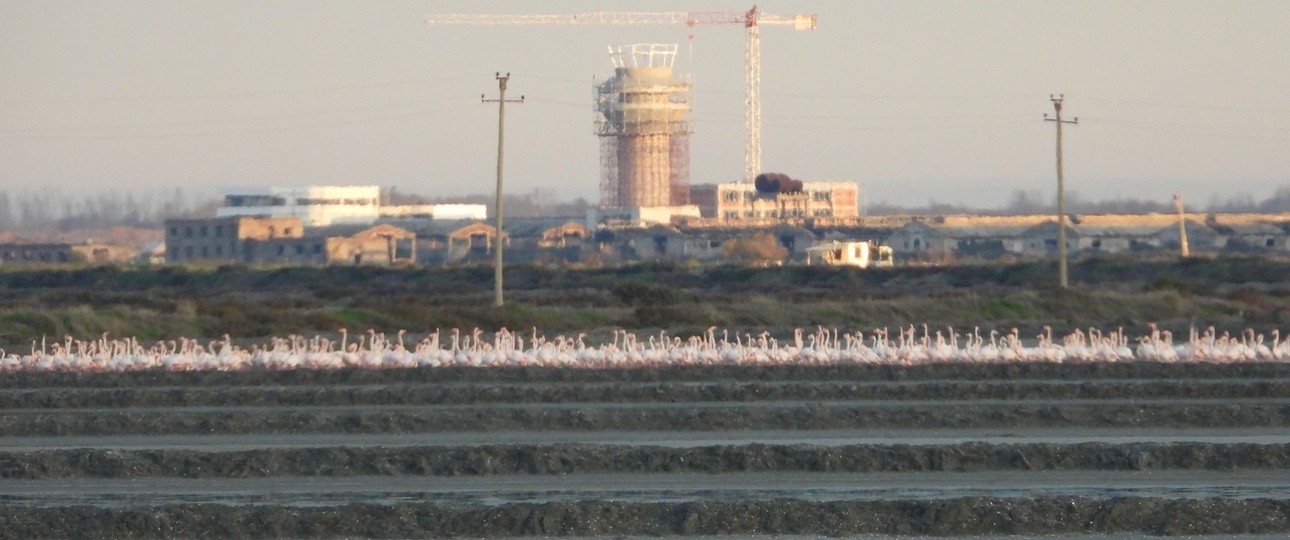 Flamingos, Flughafen-Baustelle in Vlora: Das Projekt verzögert sich weiter.