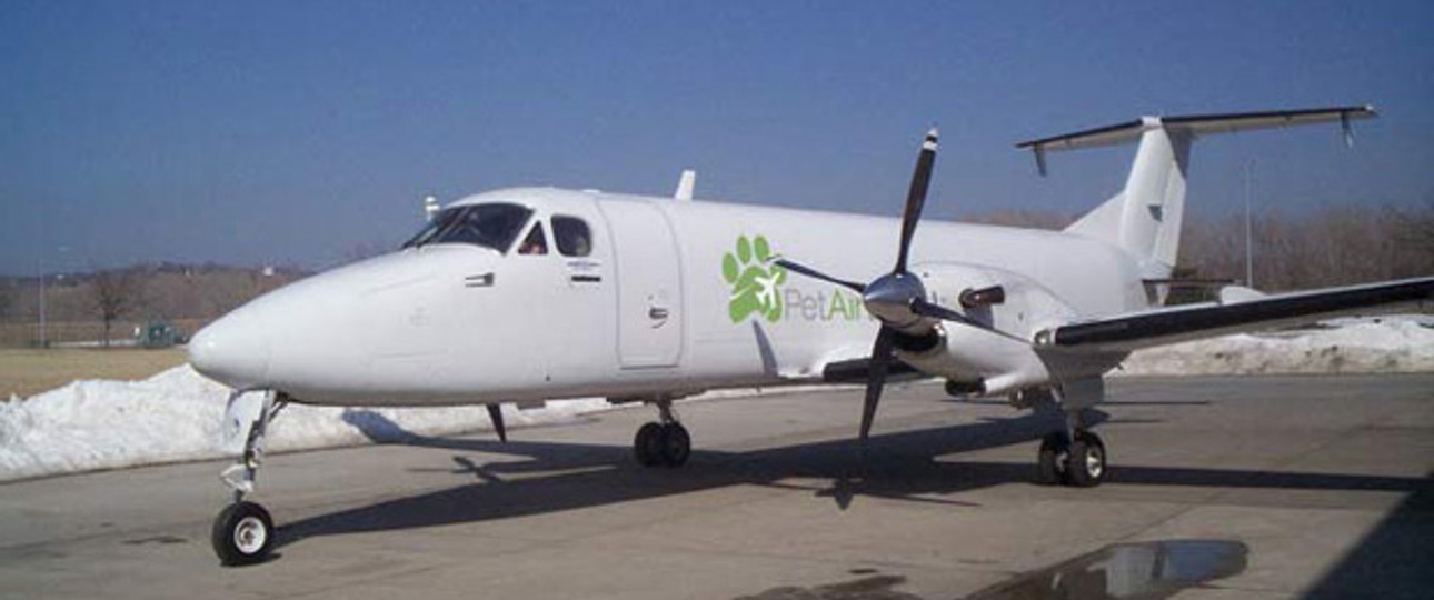 Pet Airways: Bis auf die Crew sind hier keine Zweibeiner an Bord erlaubt.