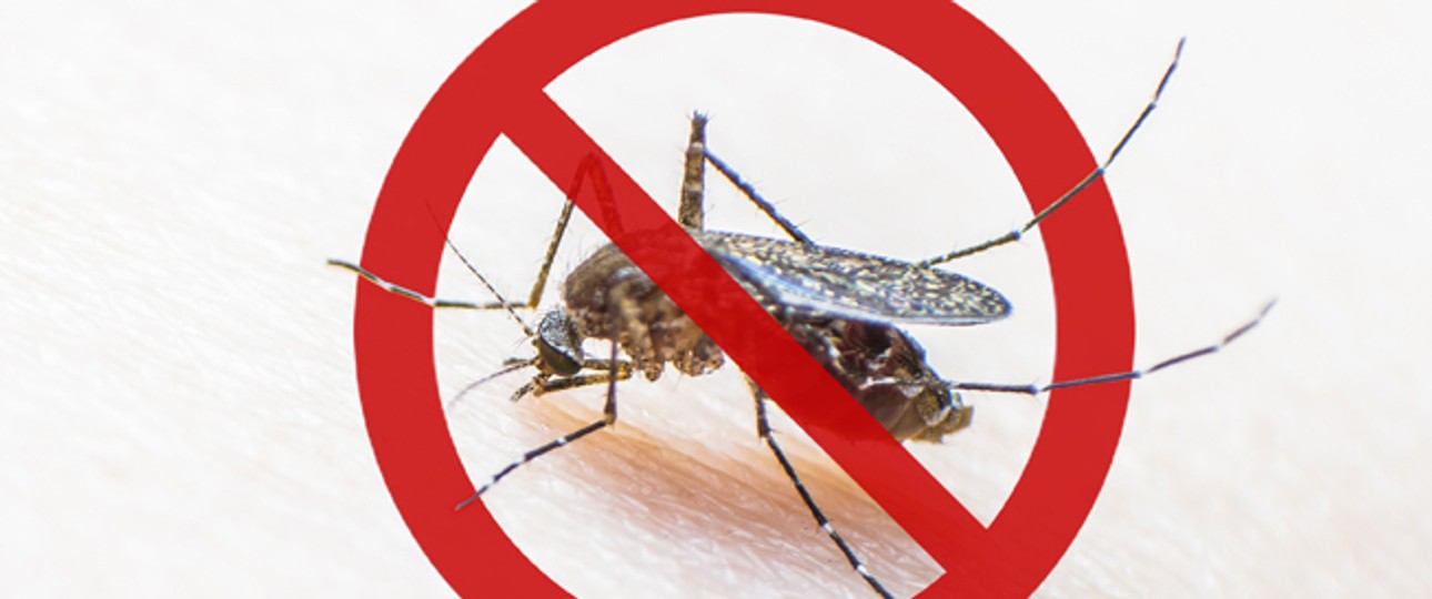 Insekten unerwünscht: Die britische Regierung ordnet an, Flieger aus Risikogebieten behandeln zu lassen.