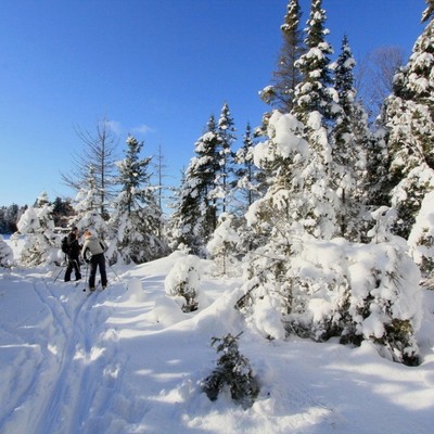 Langlaufparadies Algonquin Nationalpark