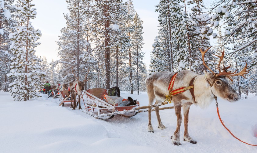 Unter den leuchtenden Himmeln Finnlands: Ein einzigartiger Winterurlaub im hohen Norden