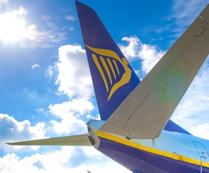 Ryanair-Flieger: Eine Katze hielt die Airline in Rom auf Trab.