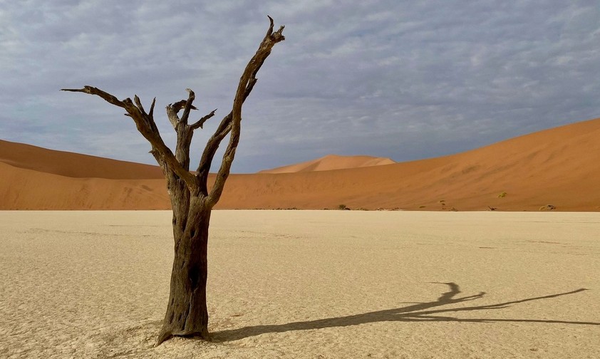Ikonische Baumgerippe in Deadvlei