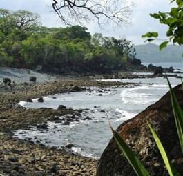 Strand auf Mayotte: bald eine eigene Airline