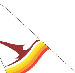 ticker-surinam-airways