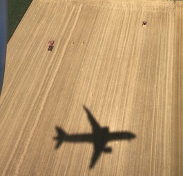 Flugzeug: Alternative Treibstoffe können aus Energiepflanzen wie etwa Leindotter gewonnen werden.