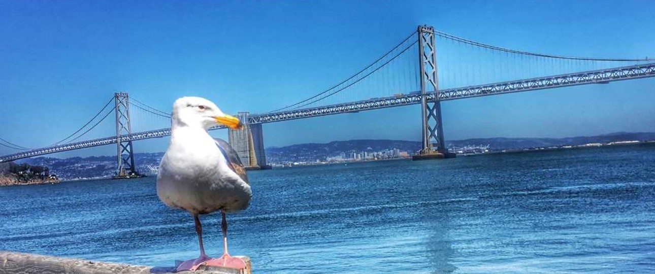 Harbour Bay Bridge 